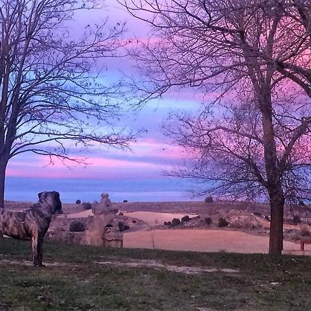 Apartamento Ribera Del Duero Reserva Tubilla del Lago Exteriér fotografie