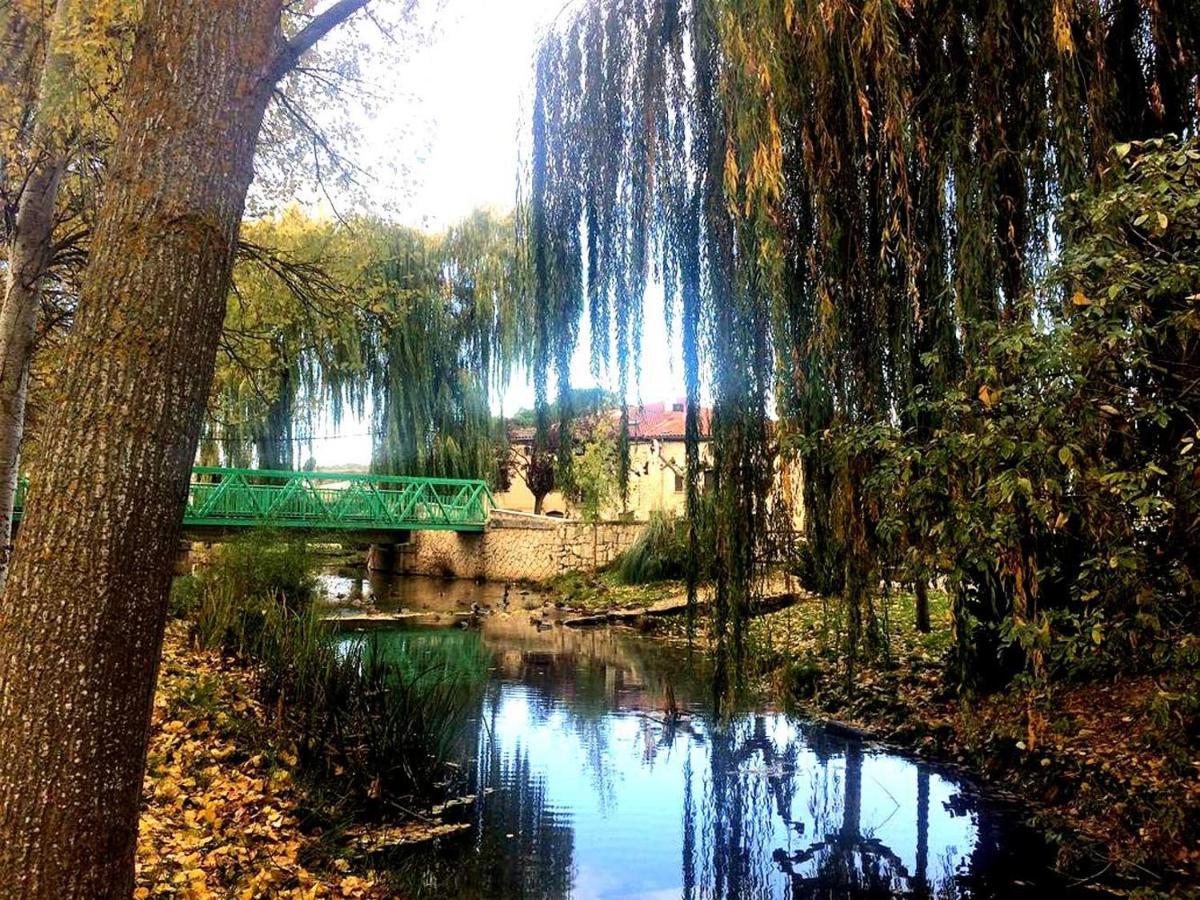 Apartamento Ribera Del Duero Reserva Tubilla del Lago Exteriér fotografie