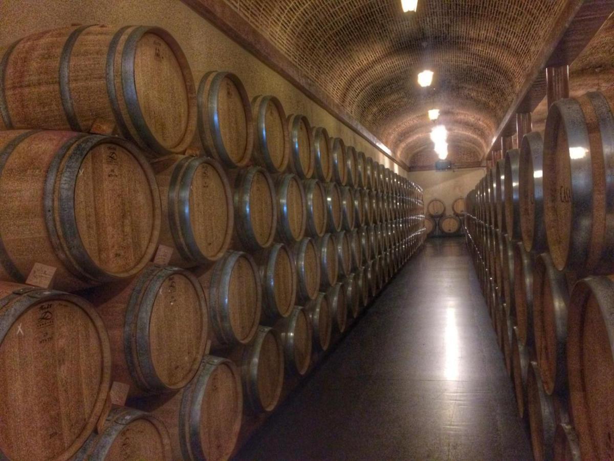 Apartamento Ribera Del Duero Reserva Tubilla del Lago Exteriér fotografie