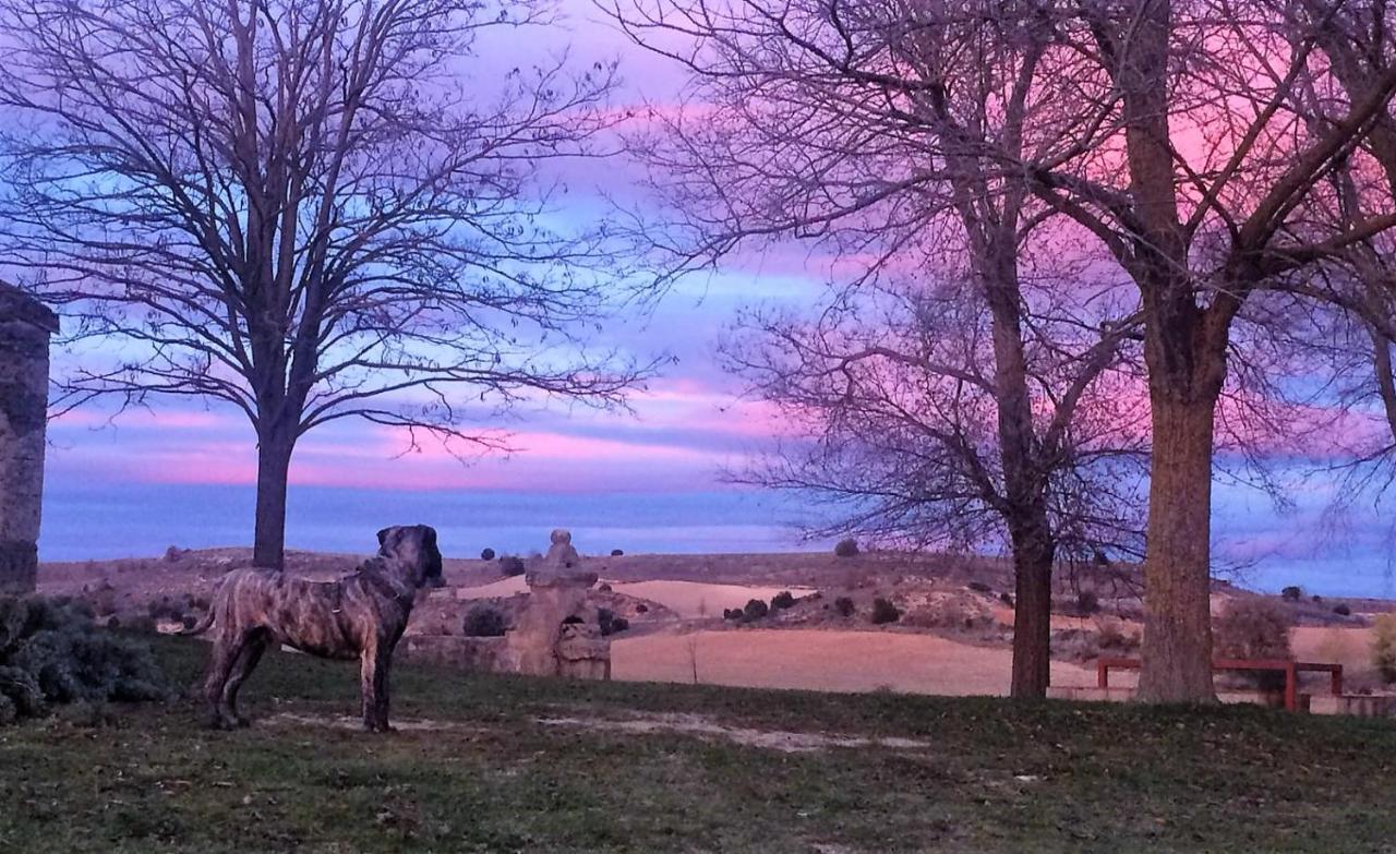 Apartamento Ribera Del Duero Reserva Tubilla del Lago Exteriér fotografie